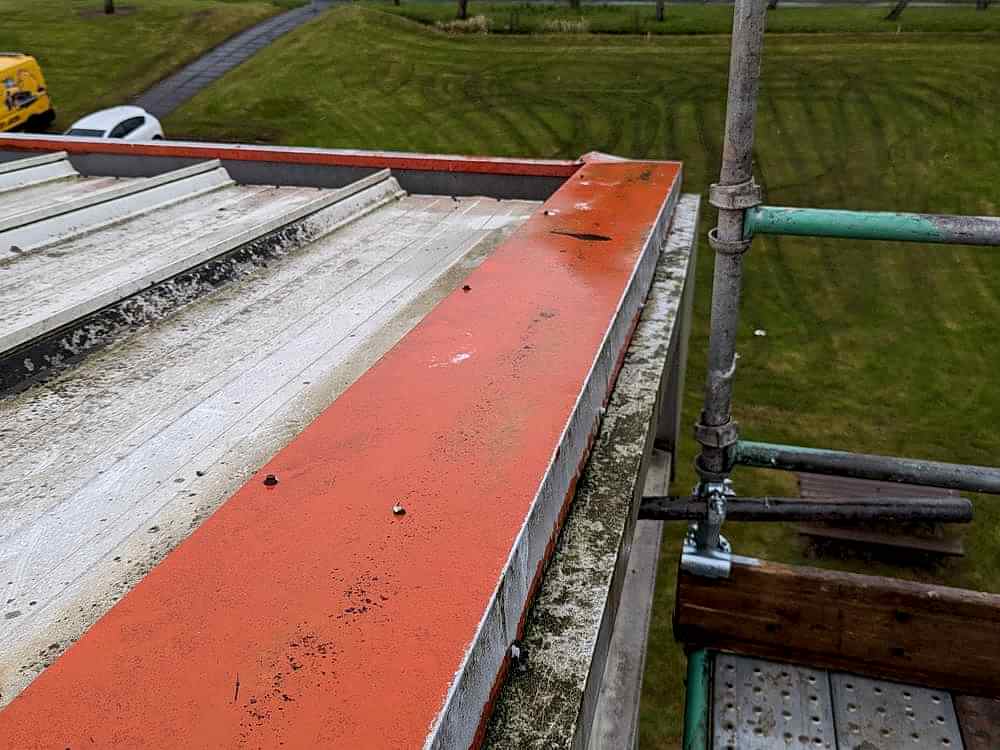 Jackdaw Nest Removal and Gutter Clean 