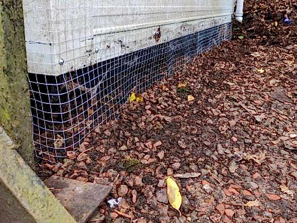 Rodent Proofing And Eradications 